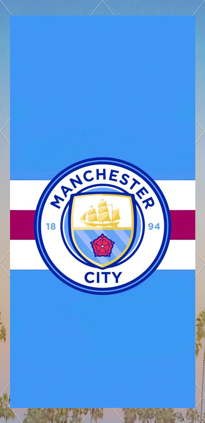 列维谈解雇澳波：热刺必须在所有战线赢球，英超成绩说明一切（列维谈解聘波斯特科格鲁：热刺需多线争胜，英超战绩最能说明问题）