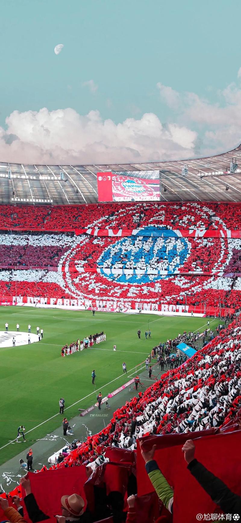 蒯纪闻与刘诚宇在中超努力证明自己，蒯纪闻目标进球，刘诚宇盼夺冠后再留洋。